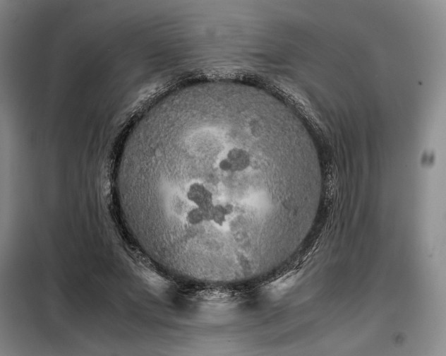 X0000099310687200805021314