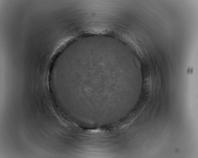 X0000099310688200805021314