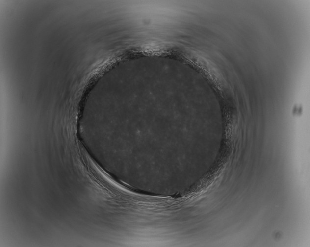 X0000099310689200805021314