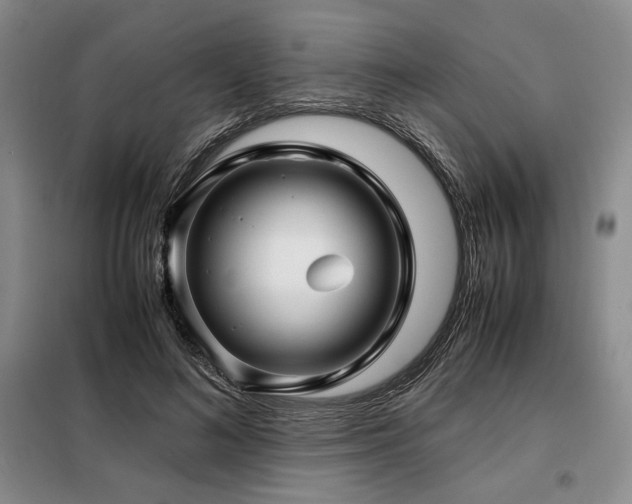 X0000099310692200805021314