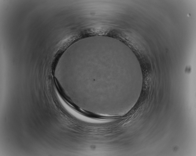X0000099310693200805021314