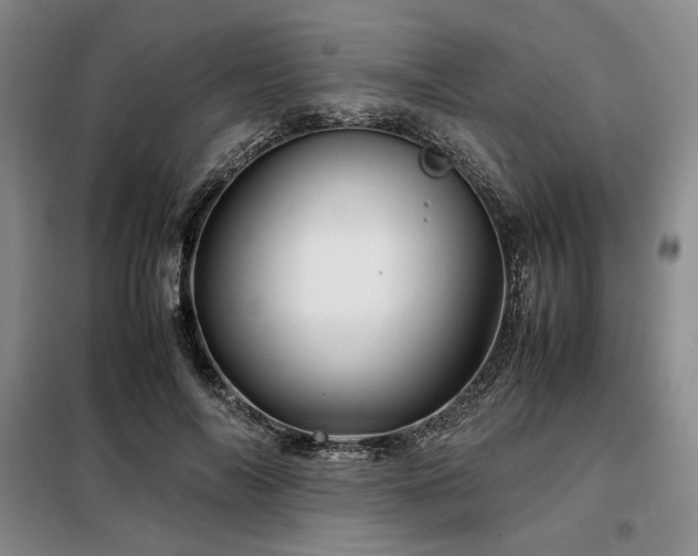 X0000099310694200805021314