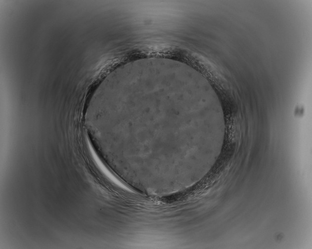 X0000099310695200805021314