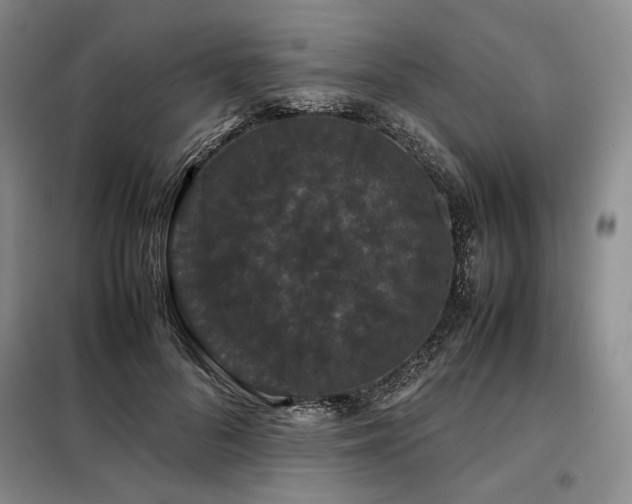 X0000099310696200805021314