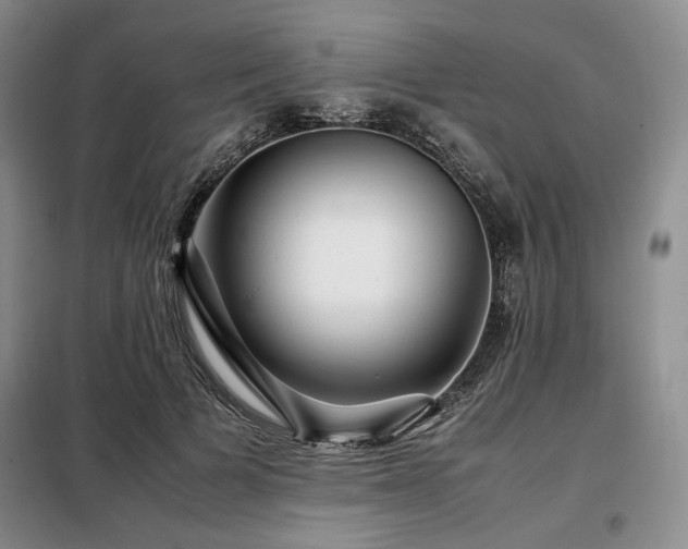 X0000099310697200805021314