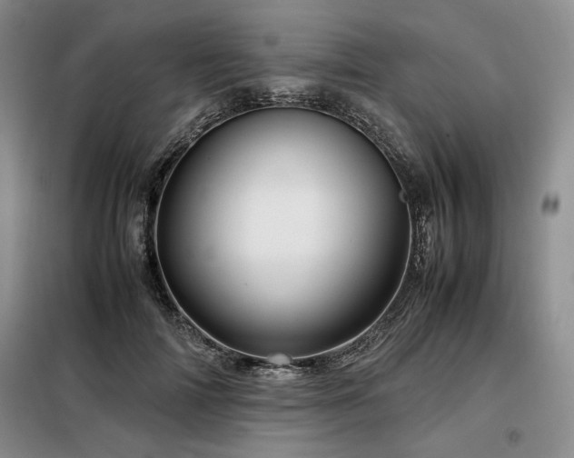 X0000099310698200805021314