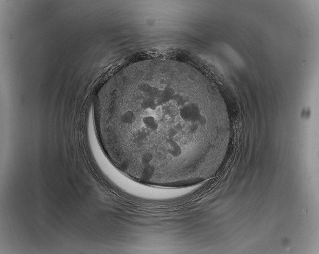 X0000099310699200805021314