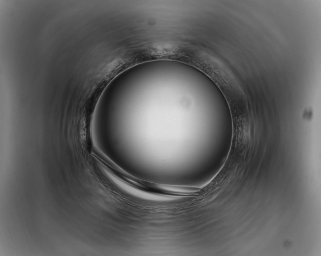 X0000099310700200805021314