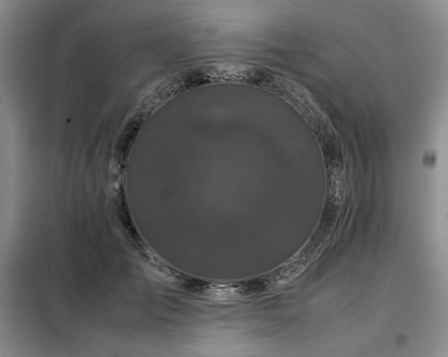 X0000099310701200805021314