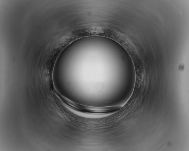 X0000099310704200805021314