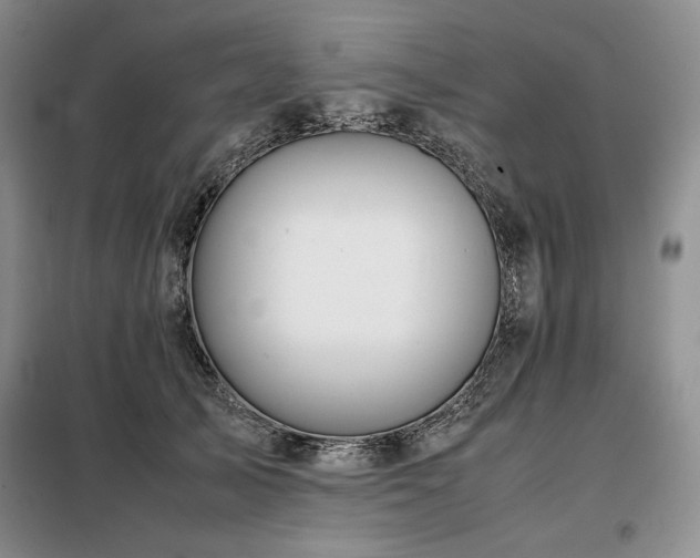 X0000099310705200805021314