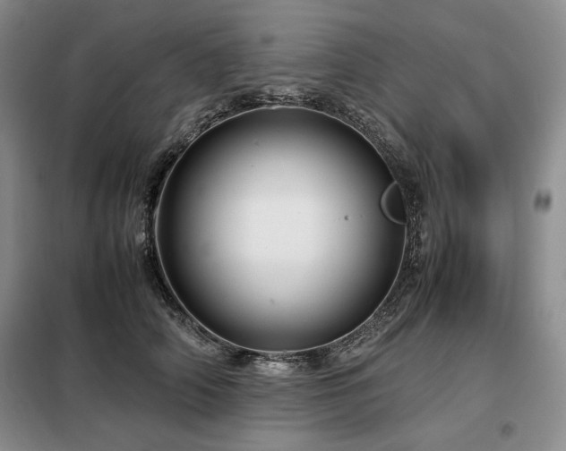 X0000099310706200805021314