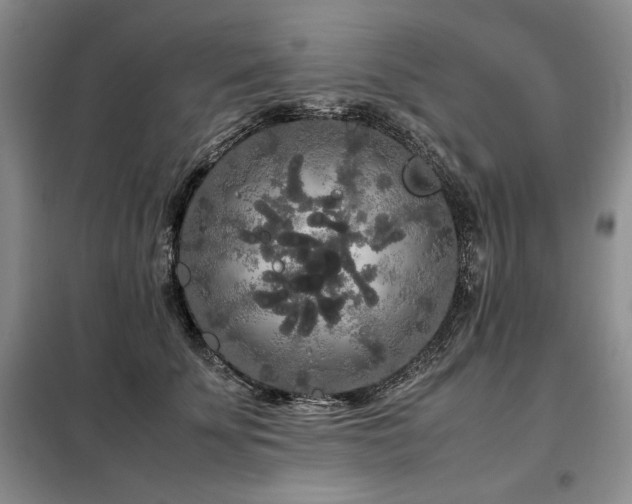 X0000099310707200805021314