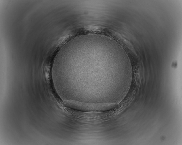 X0000099310708200805021314