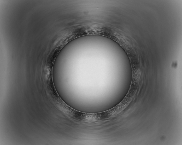 X0000099310709200805021314