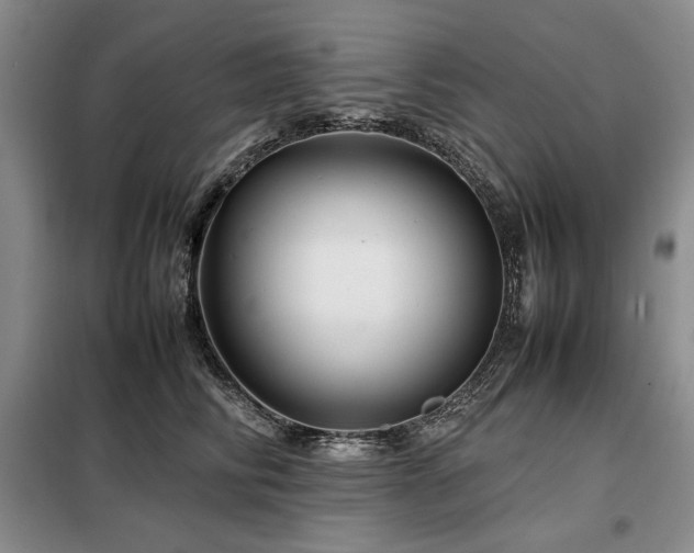X0000099310710200805021314