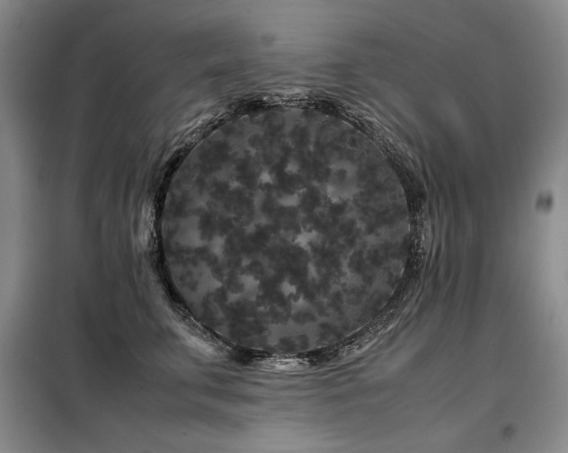 X0000099310711200805021314