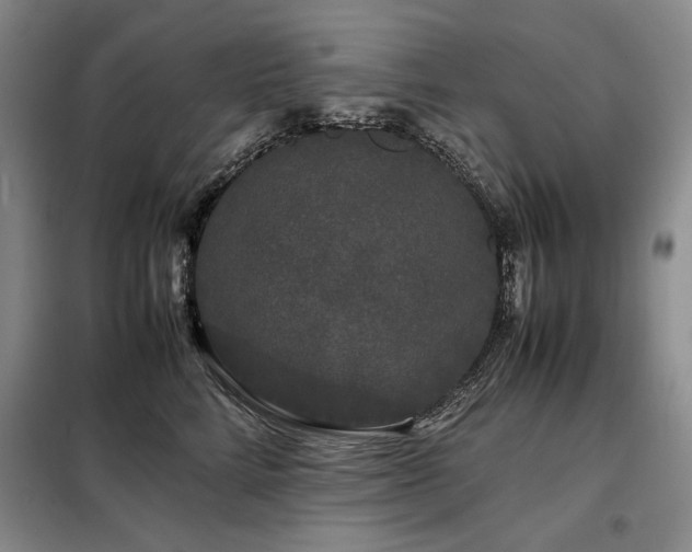 X0000099310712200805021314