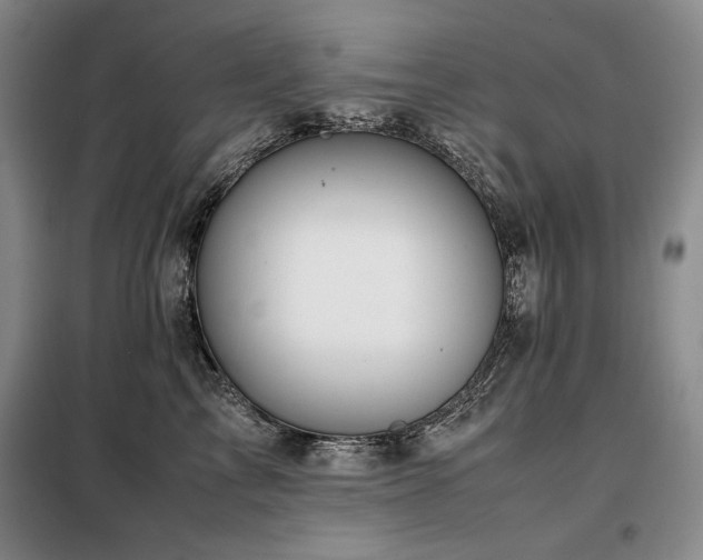 X0000099310713200805021314