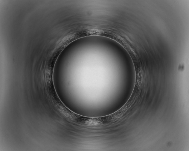 X0000099310714200805021314