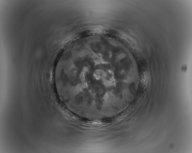 X0000099310715200805021314