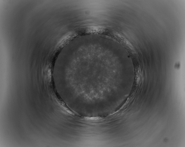X0000099310716200805021314
