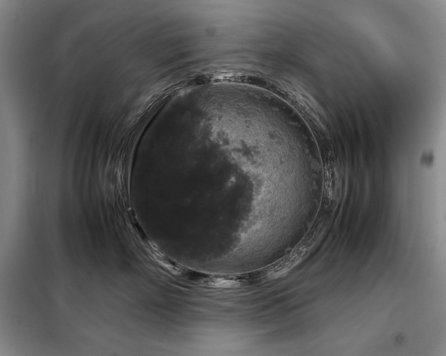 X0000099310718200805021314