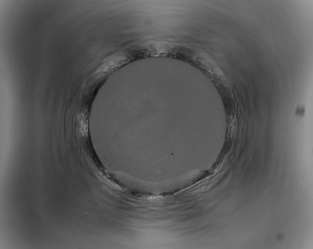 X0000099310719200805021314