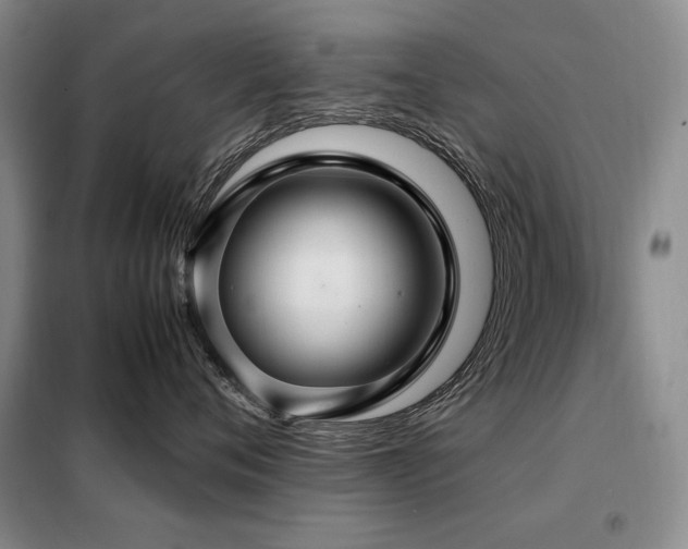 X0000099310720200805021314