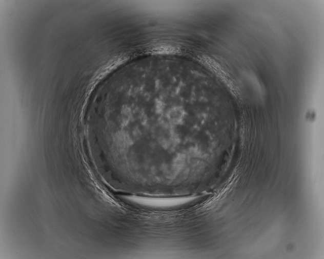 X0000099310721200805021313