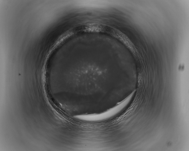 X0000099310722200805021313