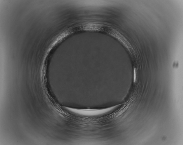 X0000099310723200805021313