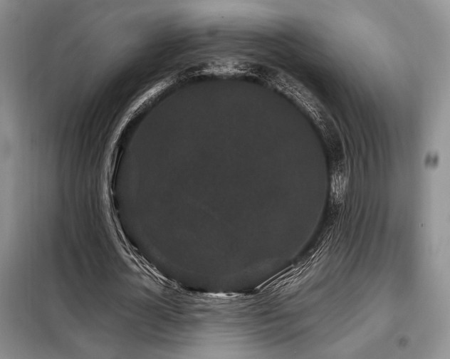 X0000099310724200805021313