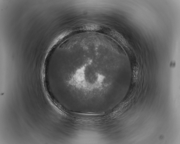 X0000099310726200805021313