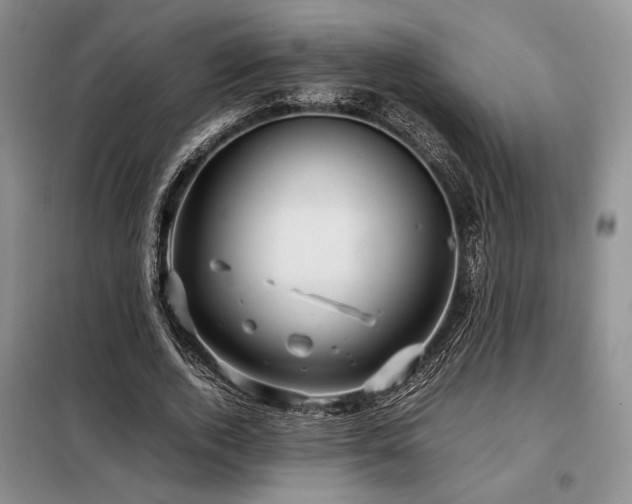 X0000099310728200805021313