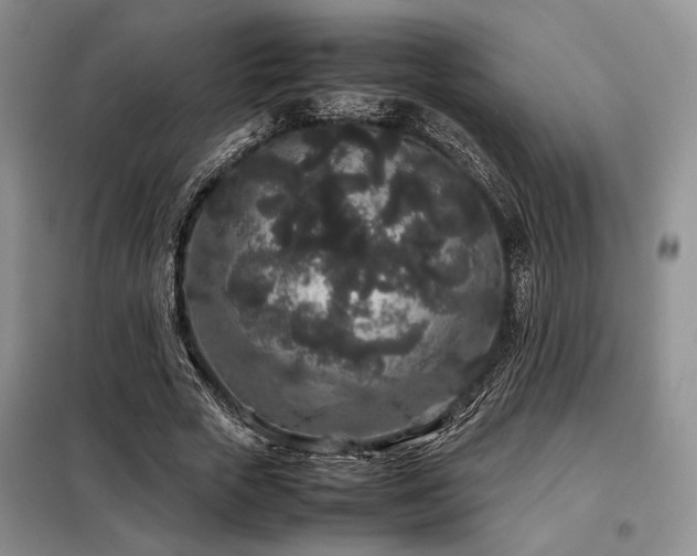 X0000099310729200805021313