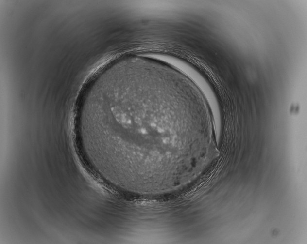 X0000099310730200805021313