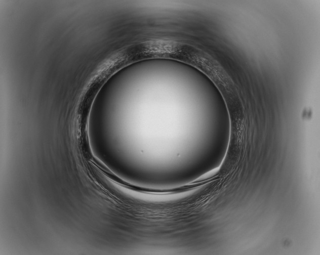 X0000099310731200805021313
