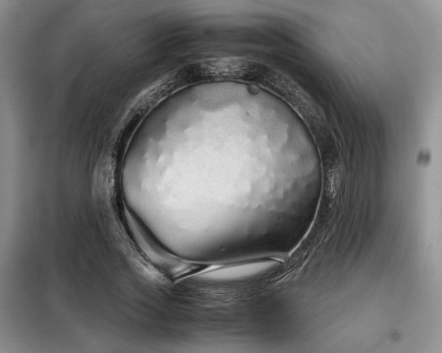 X0000099310733200805021313