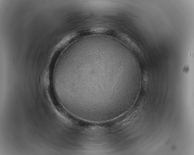 X0000099310734200805021313