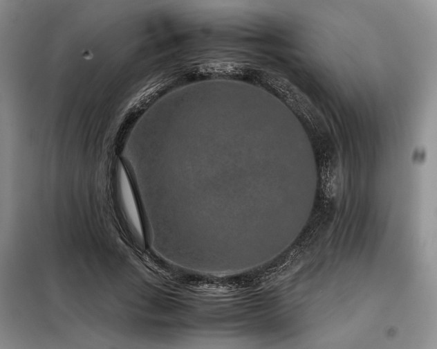 X0000099310735200805021313