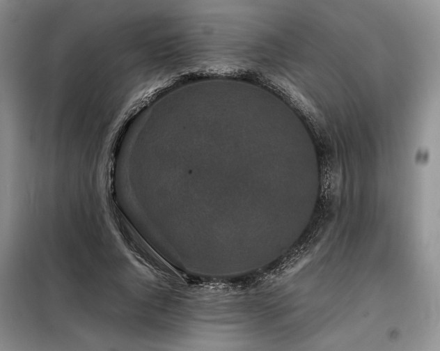 X0000099310736200805021314