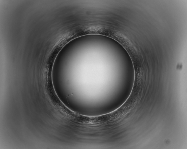 X0000099310739200805021314