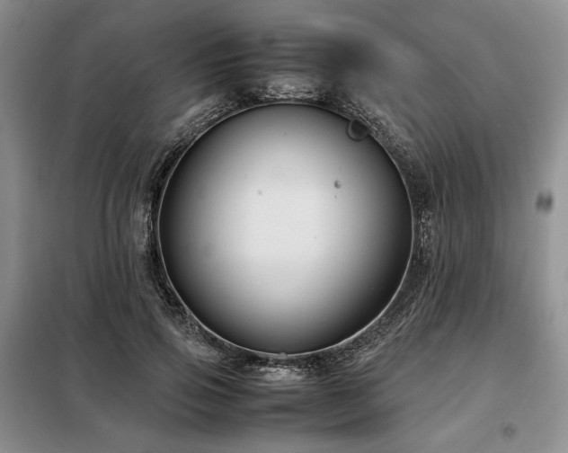 X0000099310741200805021314