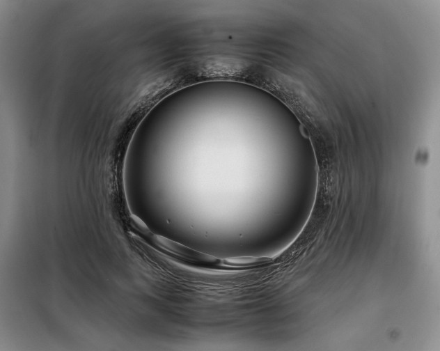X0000099310743200805021314