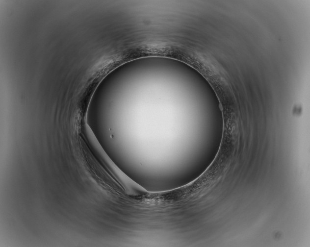 X0000099310744200805021314