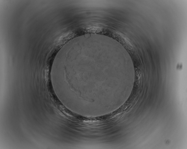 X0000099310745200805021314