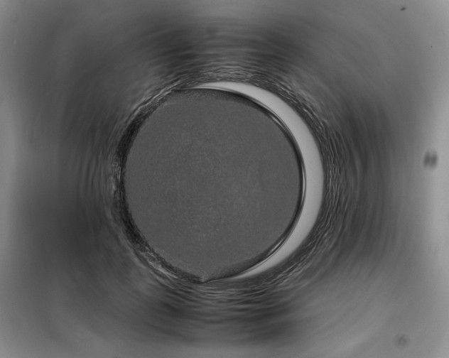 X0000099310747200805021314