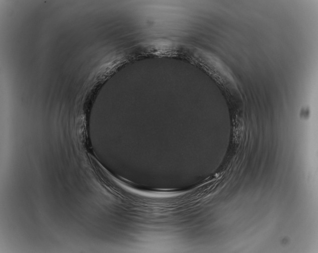 X0000099310748200805021314