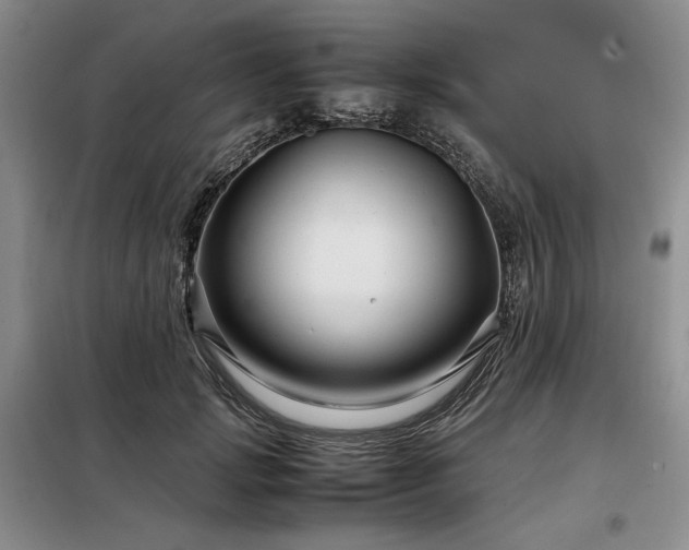 X0000099310749200805021314